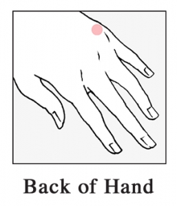 back-of-hand-257×300