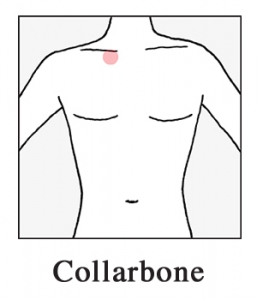 collarbone-257×300