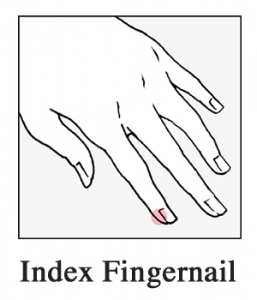 index-fingernail-257×300