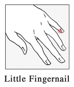 little-fingernail-257×300