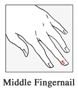 middle-fingernail-257×300