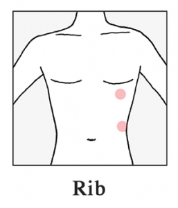 rib-257×300