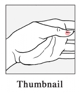 thumbnail-257×300