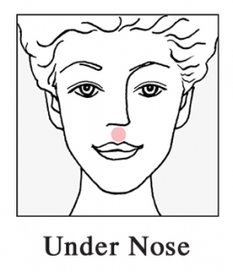 under-nose-257×300